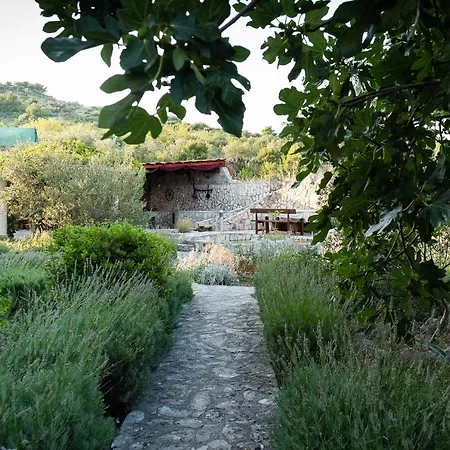 Vila Milenka *